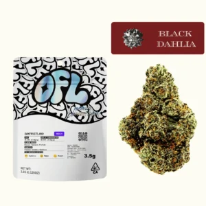 buy black dahlia flower 3.5g
