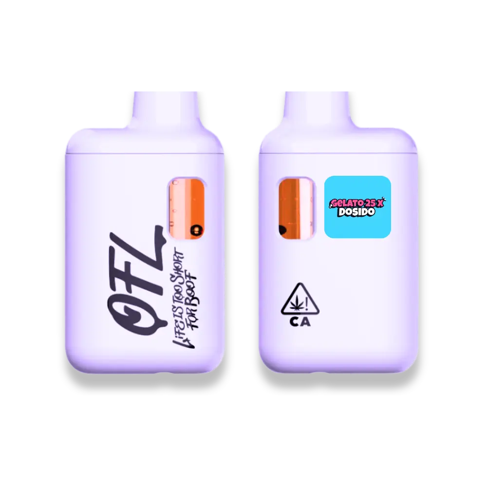 services-01 Gelato25 MINI