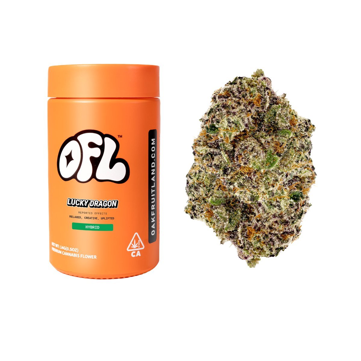 services-03 HA0HLtgaAAMM6F9