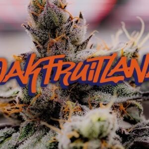 Buy Oakfruitland Flower